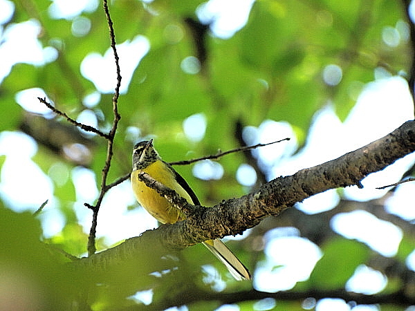 f0215964_9575482.jpg