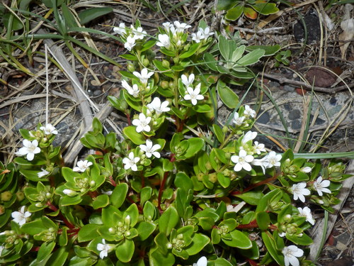 e0292172_20332227.jpg