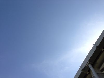 a0187575_1642740.jpg