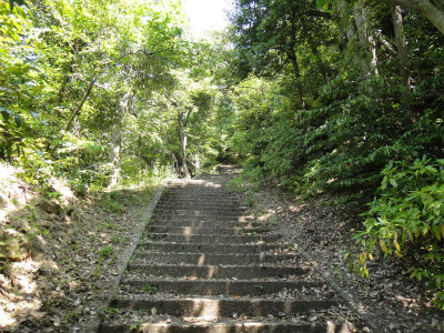 d0182075_2037290.jpg