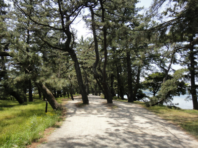 d0182075_2050099.jpg