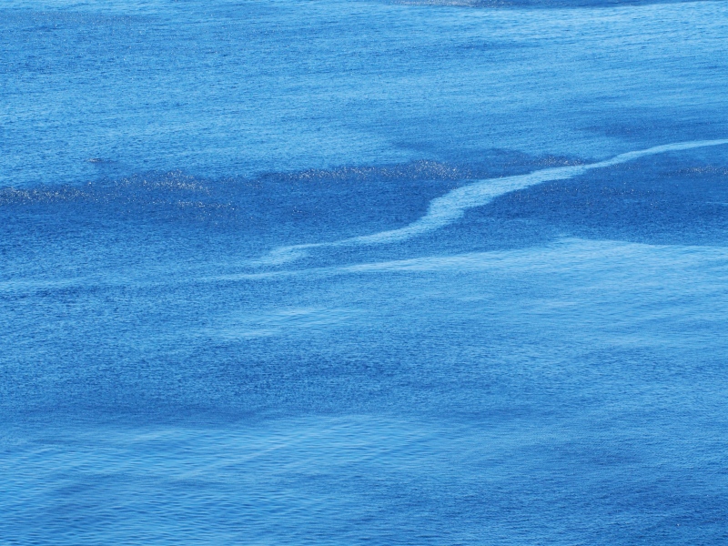 c0183777_20154218.jpg