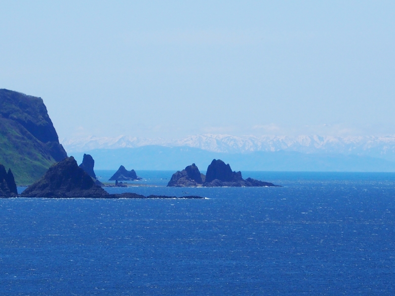 c0183777_2041099.jpg
