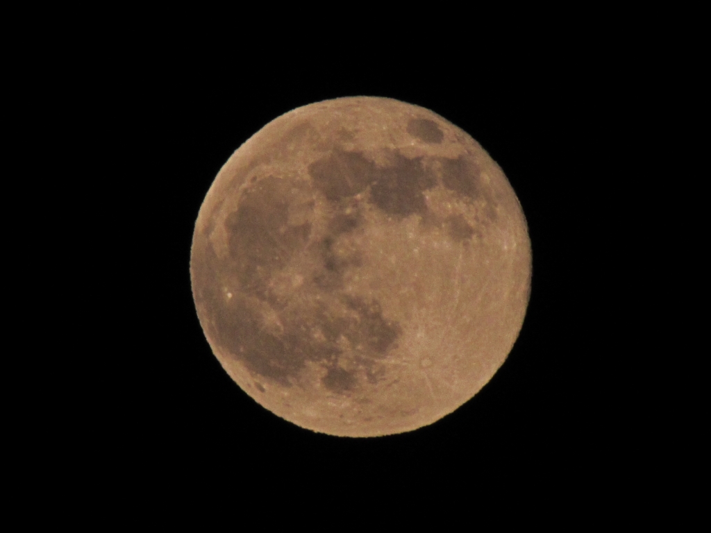 c0183777_219450.jpg