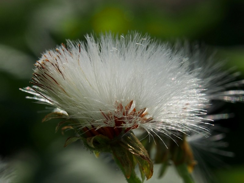 c0183777_773152.jpg