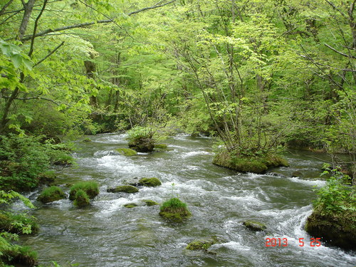 d0165378_1012196.jpg