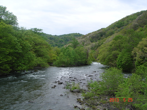 d0165378_94527100.jpg