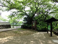 d0183387_16422984.jpg