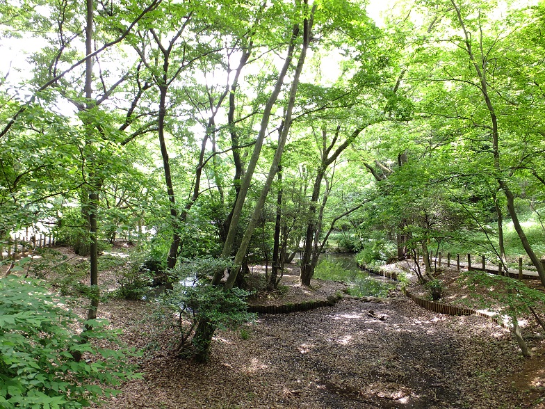 d0183387_1644367.jpg