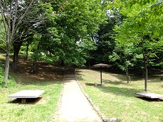 d0183387_1661891.jpg