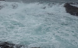 f0069890_0442580.jpg