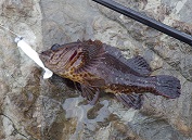 f0069890_0445669.jpg