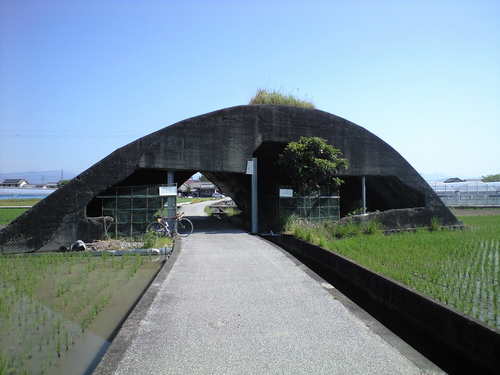 a0143296_11555983.jpg