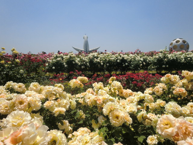 b0044296_21391924.jpg