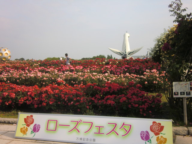 b0044296_21404458.jpg