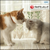 人気ブログランキングへ