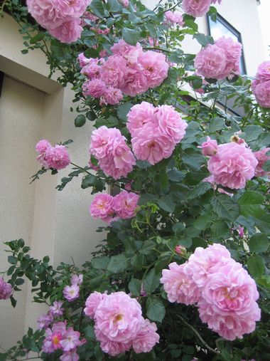 f0201297_0303211.jpg