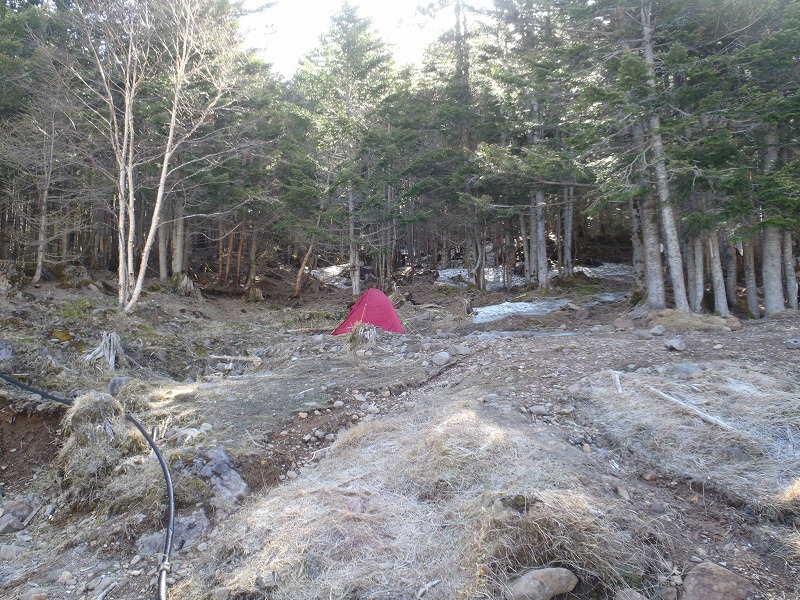 c0147398_23405211.jpg