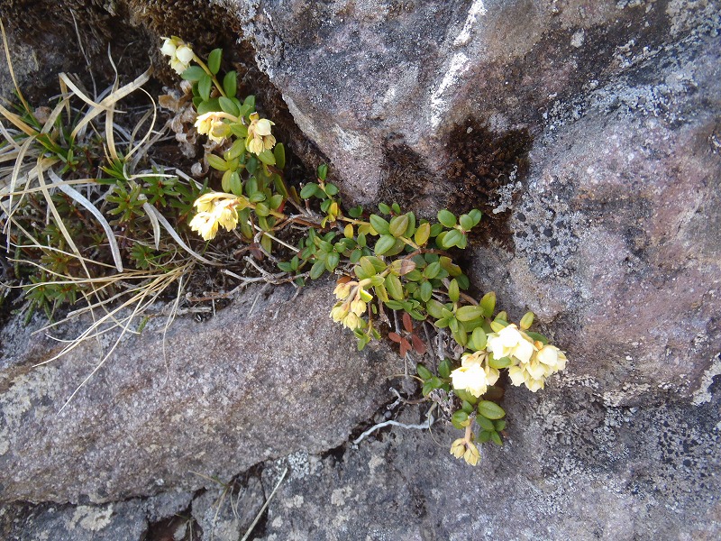 c0147398_2345515.jpg