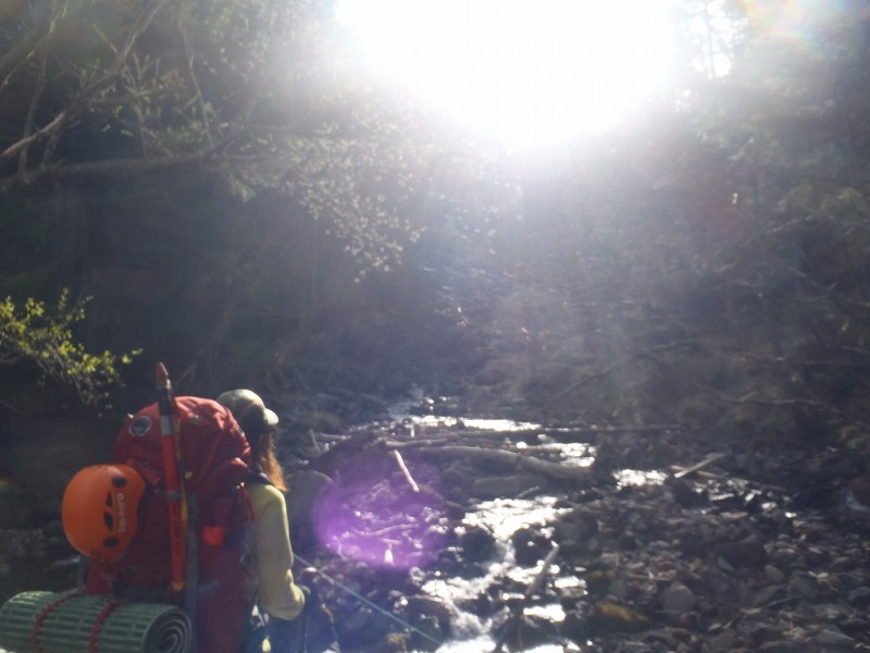 c0147398_3363077.jpg