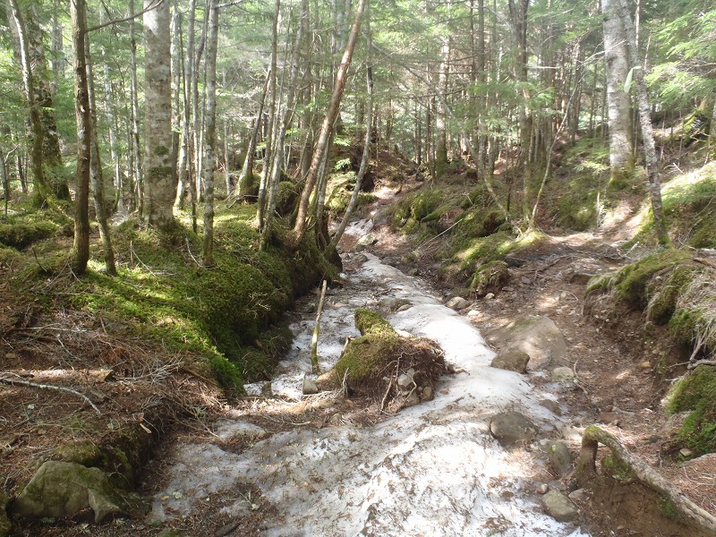c0147398_3373260.jpg