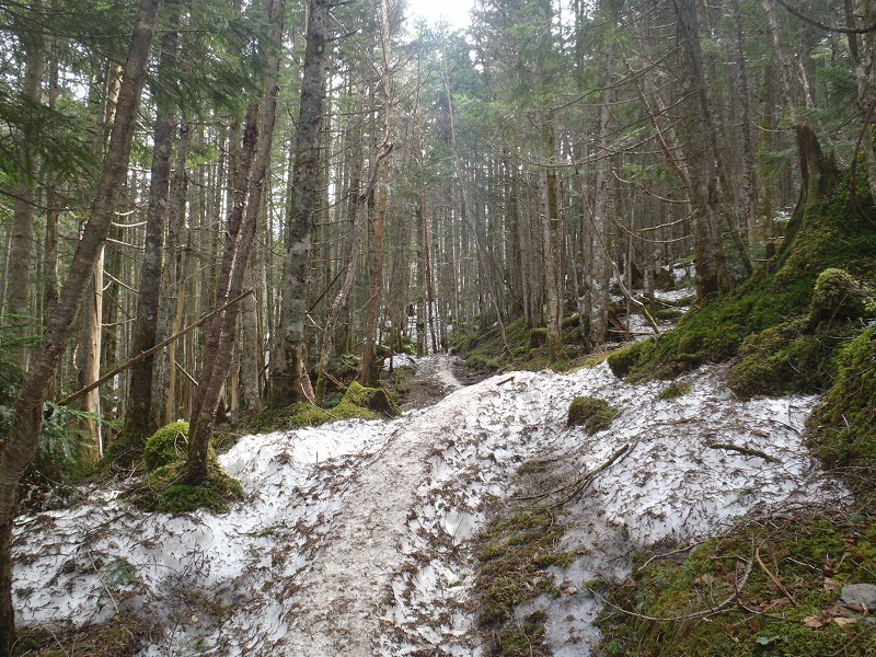 c0147398_3374020.jpg
