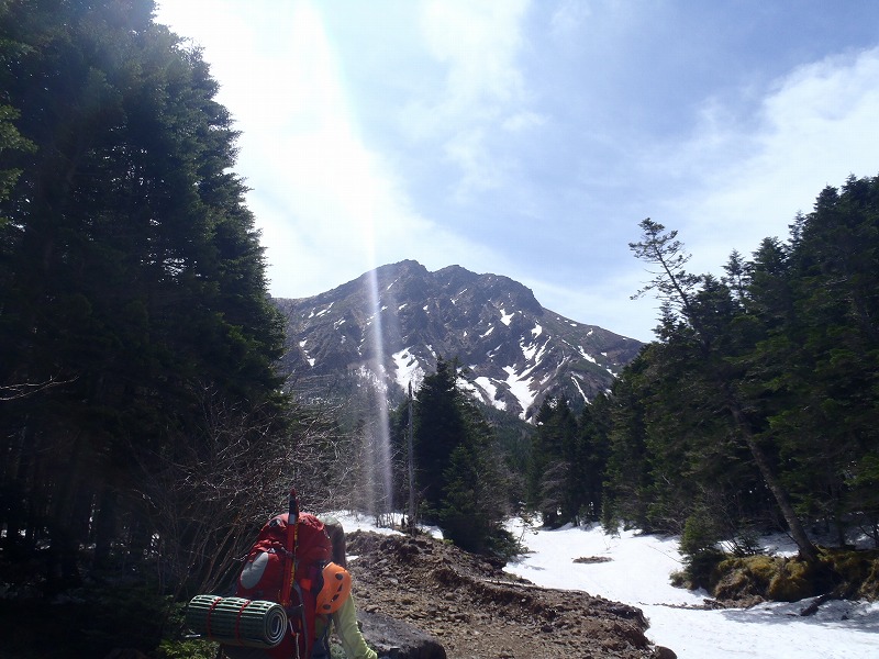 c0147398_338269.jpg