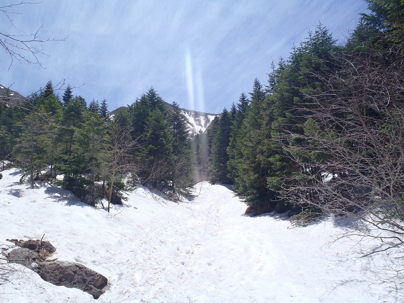 c0147398_3393356.jpg