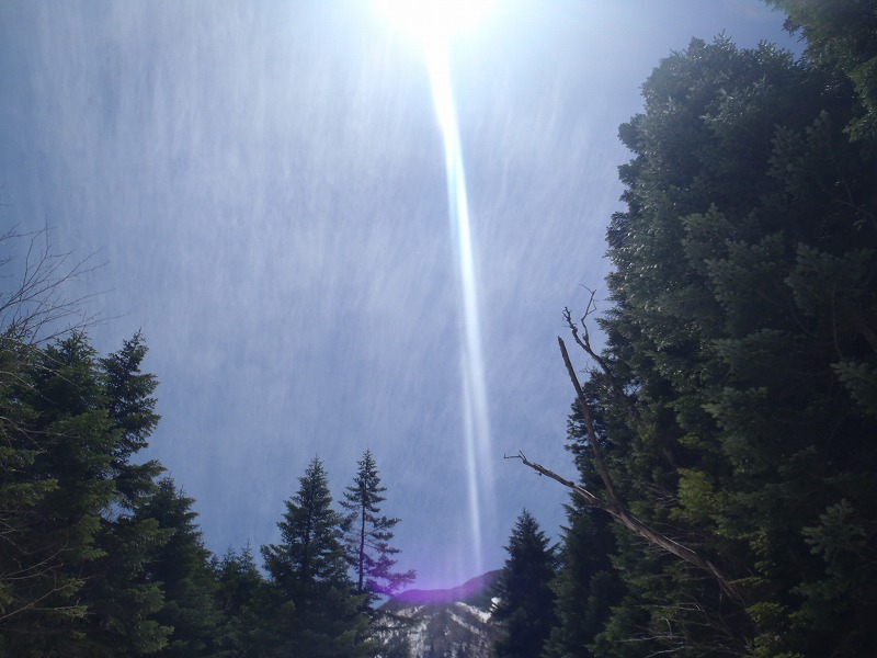 c0147398_3394385.jpg