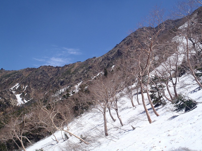 c0147398_3402614.jpg