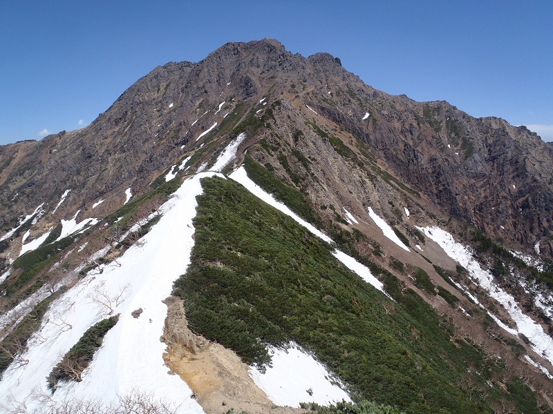 c0147398_3412762.jpg