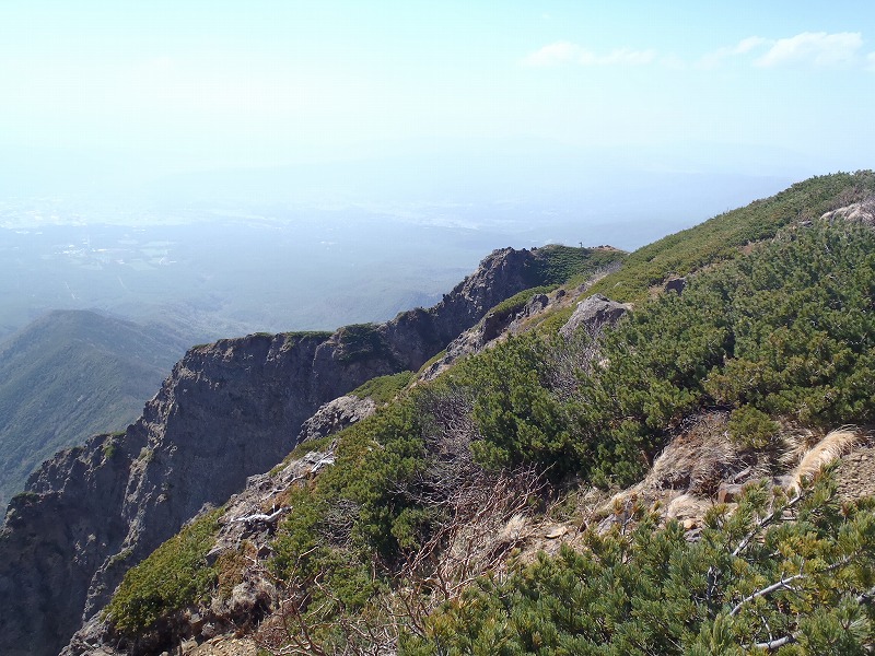 c0147398_3424857.jpg