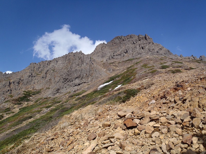 c0147398_3441722.jpg