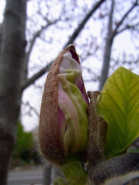 f0157901_22112671.jpg