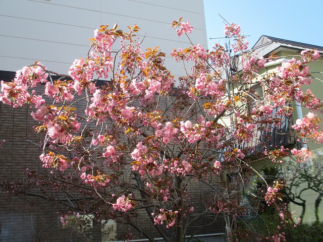 f0202703_22204871.jpg