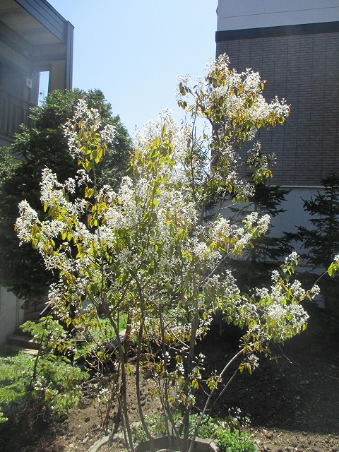 f0202703_2228390.jpg