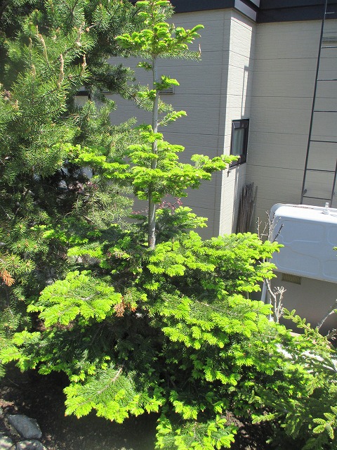 f0202703_22302529.jpg