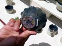 e0107304_10362222.jpg