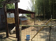 c0175807_22552498.jpg