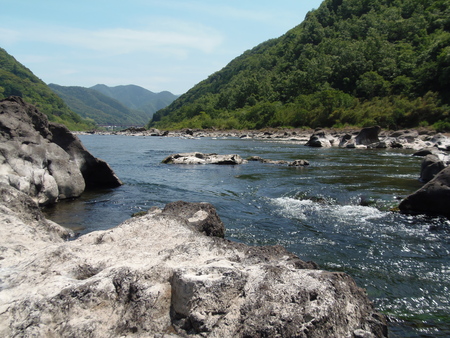 f0190009_1393081.jpg
