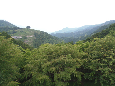 f0190009_252838.jpg