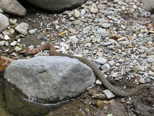 b0121015_2216214.jpg