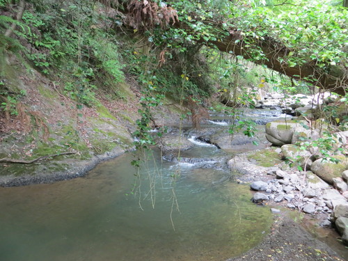 b0121015_2221053.jpg