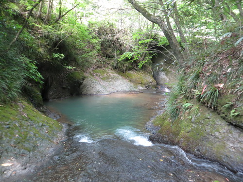 b0121015_22235183.jpg