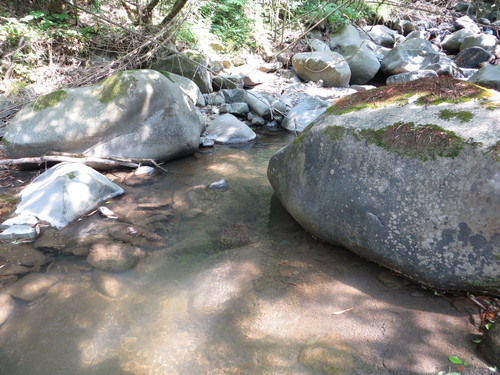 b0121015_22263986.jpg