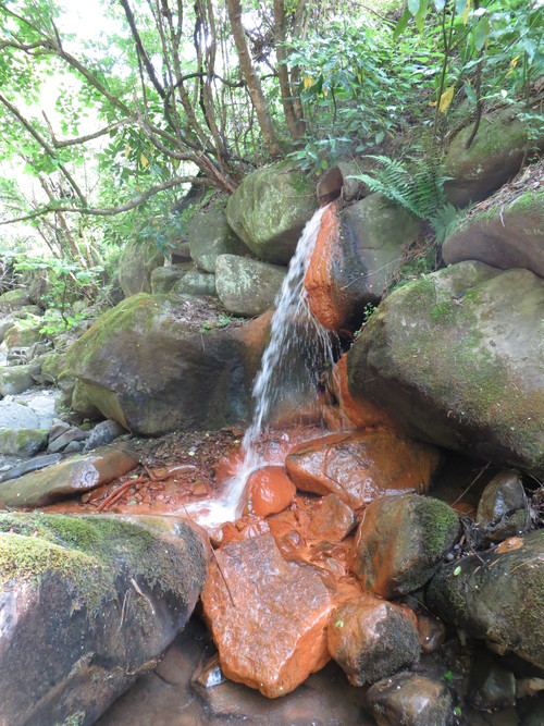 b0121015_2227509.jpg