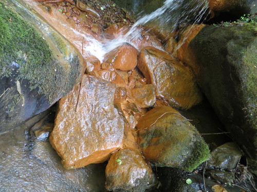 b0121015_22285841.jpg