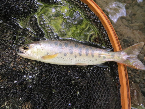b0121015_2232132.jpg