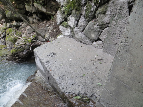 b0121015_22353380.jpg
