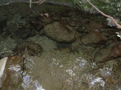 b0121015_22415510.jpg